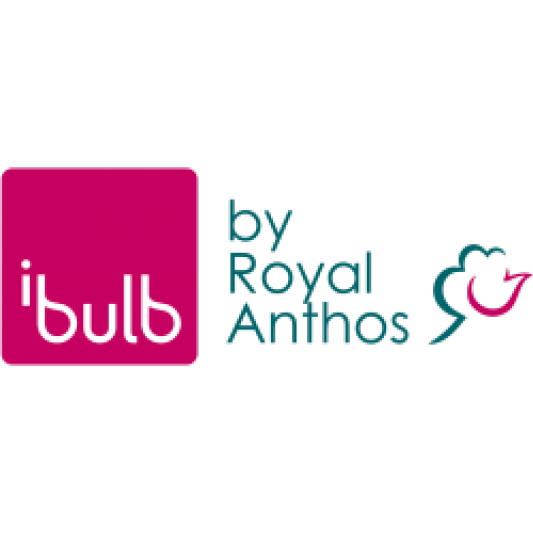ibulb