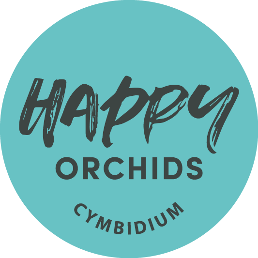 Happy Orchids
