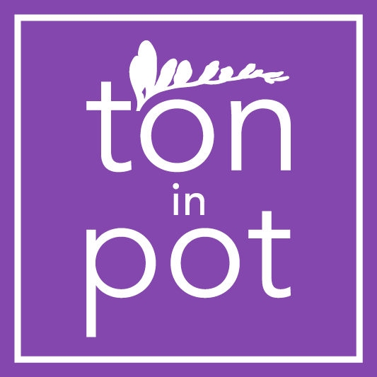 Ton in Pot