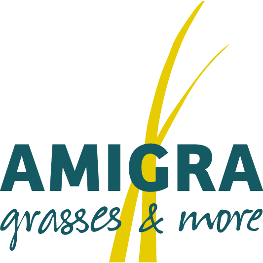 Amigra