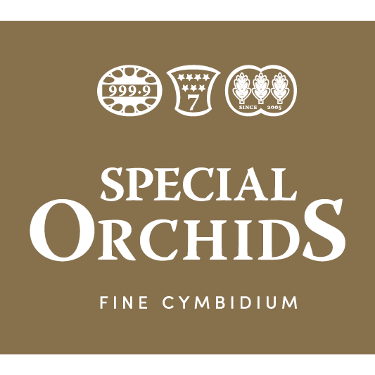 Special Orchids
