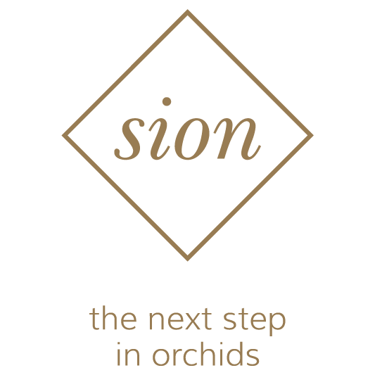 Sion