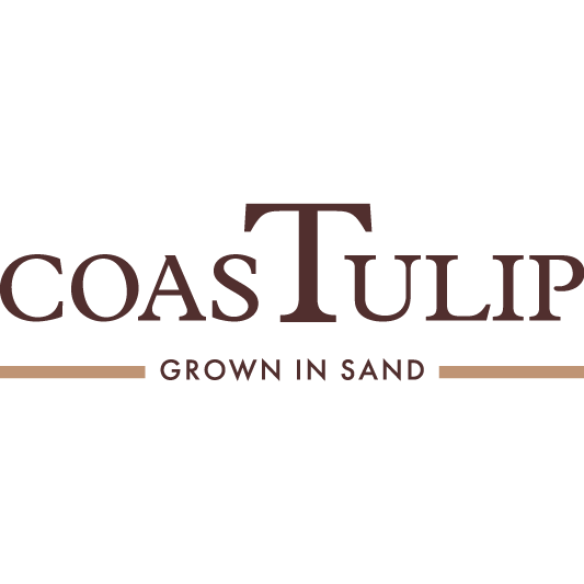 coasTulip